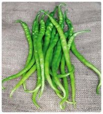 Yellow Sweet Pepper - 2016 ANO, osvědčená odrůda